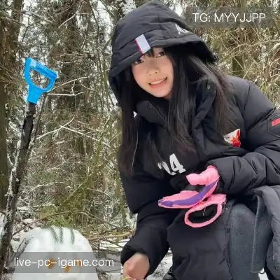 柳琴果